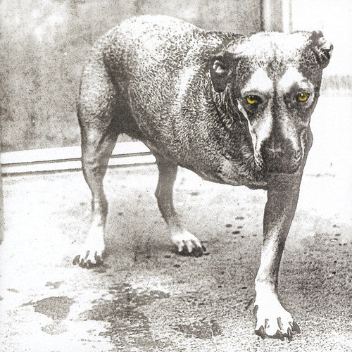 Alice In Chains - S/T - CD