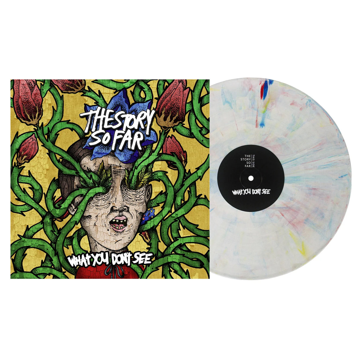 Story So Far - What You Don't See - Crayon Marble Vinyl - LP