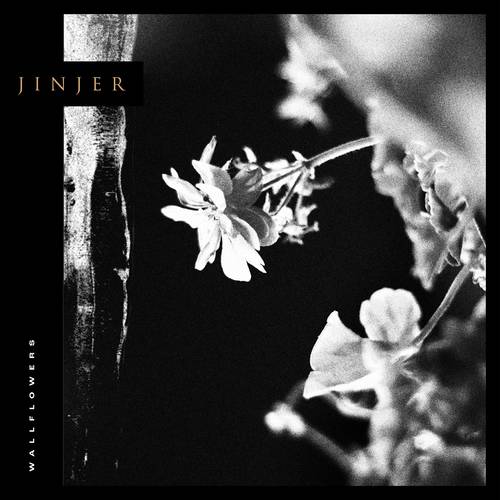 Jinjer – Wallflowers - Color Vinyl - LP