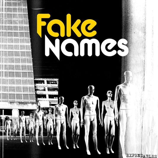 Fake Names - Expendables - LP