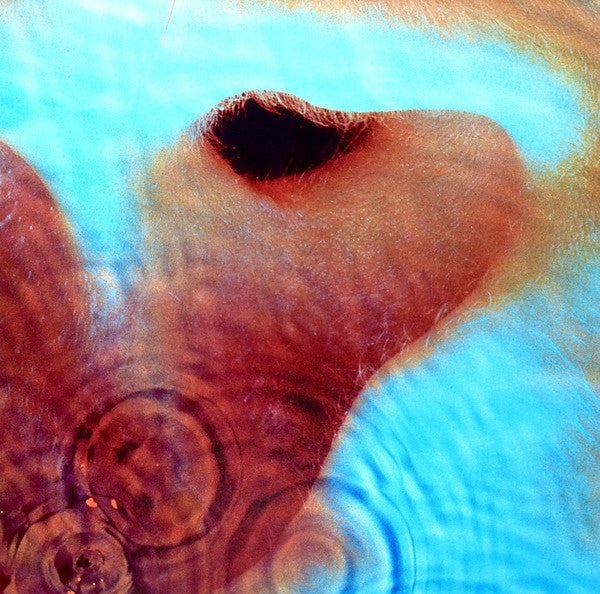 【レア！赤盤】Pink Floyd Meddle レコード Pink Floyd – Meddle (REMASTERED) - LP – Sky Valley Records