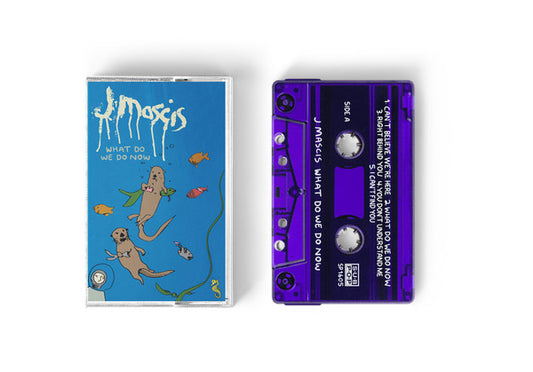 J Mascis – What Do We Do Now - Cassette
