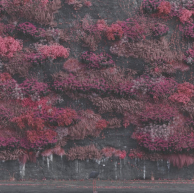 Sleep Token – Even In Arcadia - LP