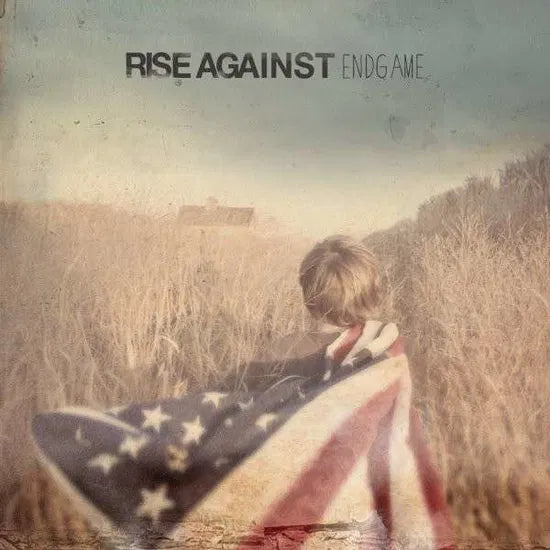 Rise Against – Endgame - LP