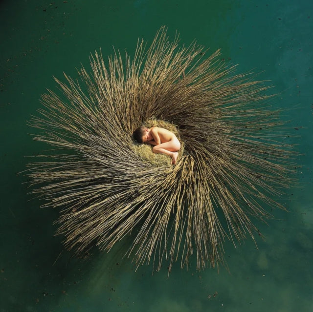 Peter Gabriel – OVO - 2LP - RSD 2025