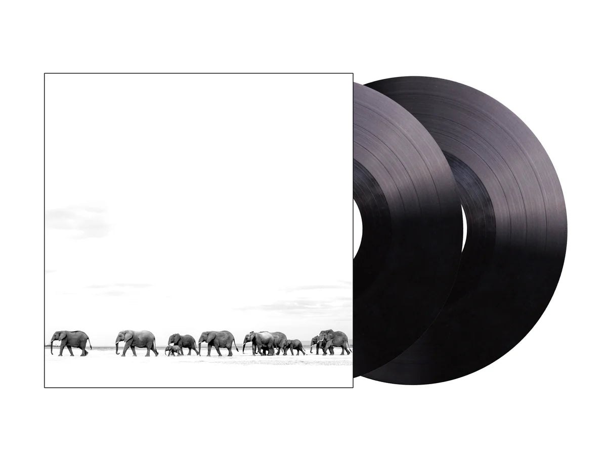 Dave Matthews Band – Where Are You Going: The Singles (embossed cover edition) 2XLP