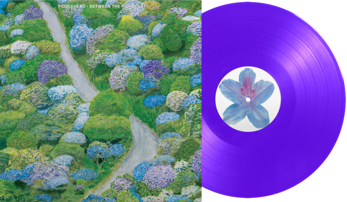 Fiddlehead - Between the Riches - Violet Vinyl - LP