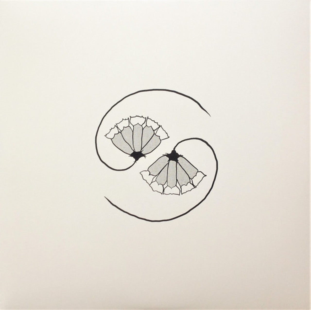 Godspeed You! Black Emperor – G_d's Pee At State's End! - 180 Gram - LP + 10"