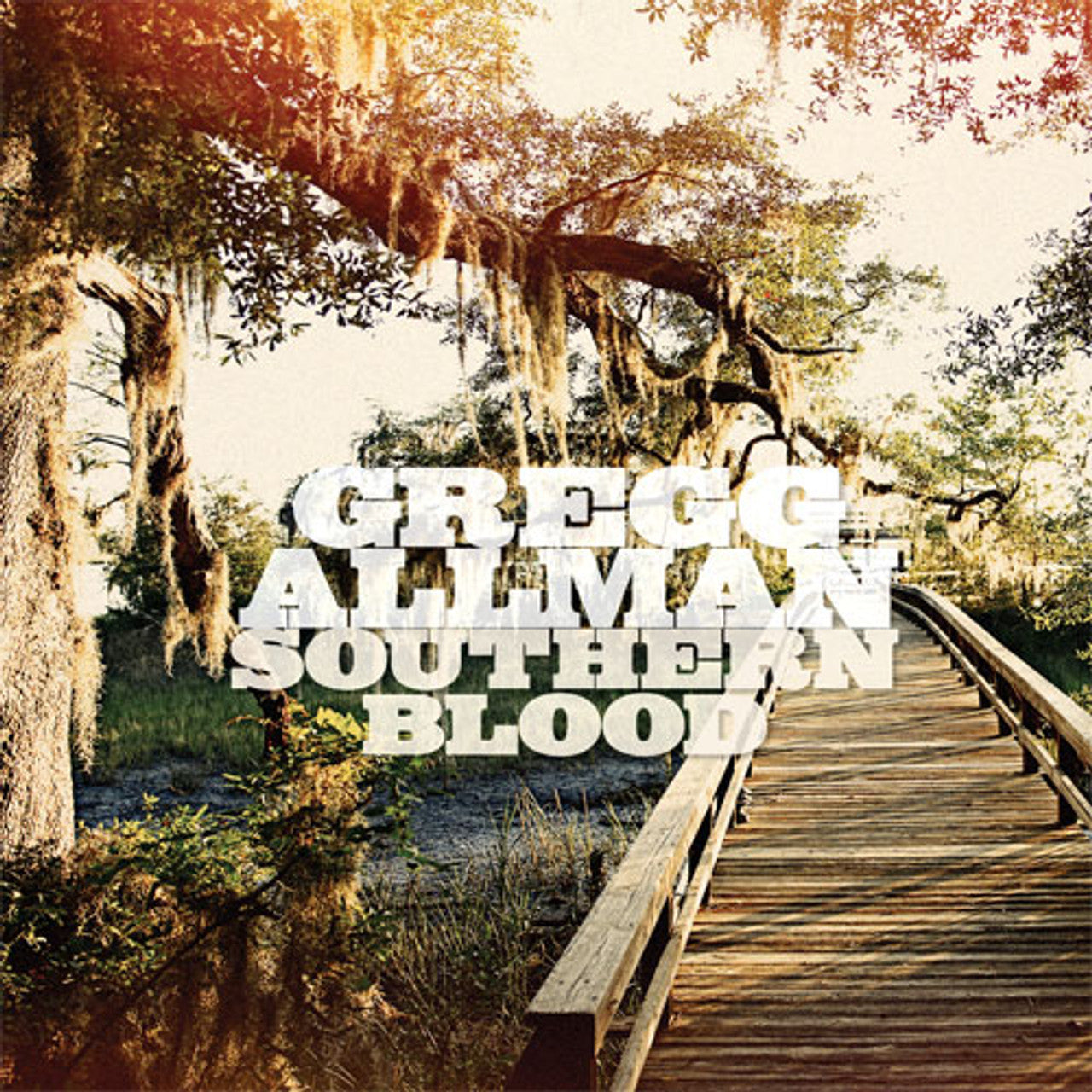 Gregg Allman – Southern Blood - Hardwood Color Vinyl - LP