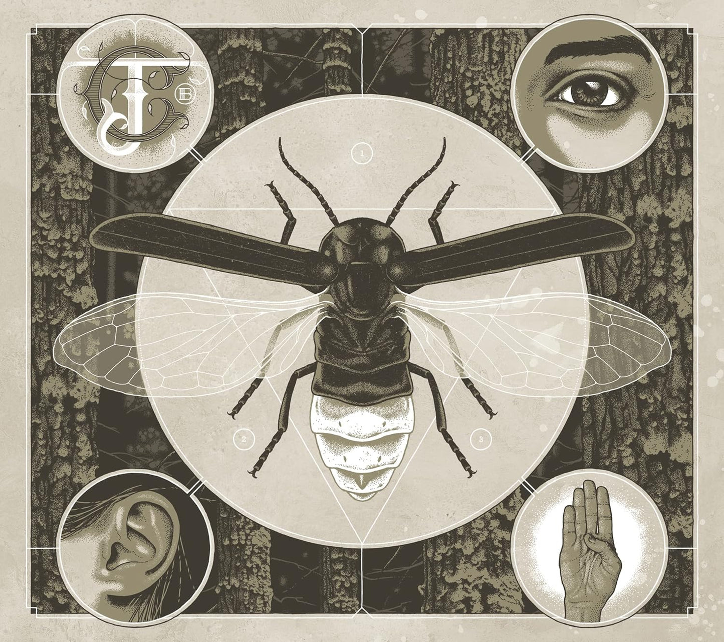 Jerry Cantrell – Brighten - (Limited Glow in Dark Cover) - CD (Digipak)