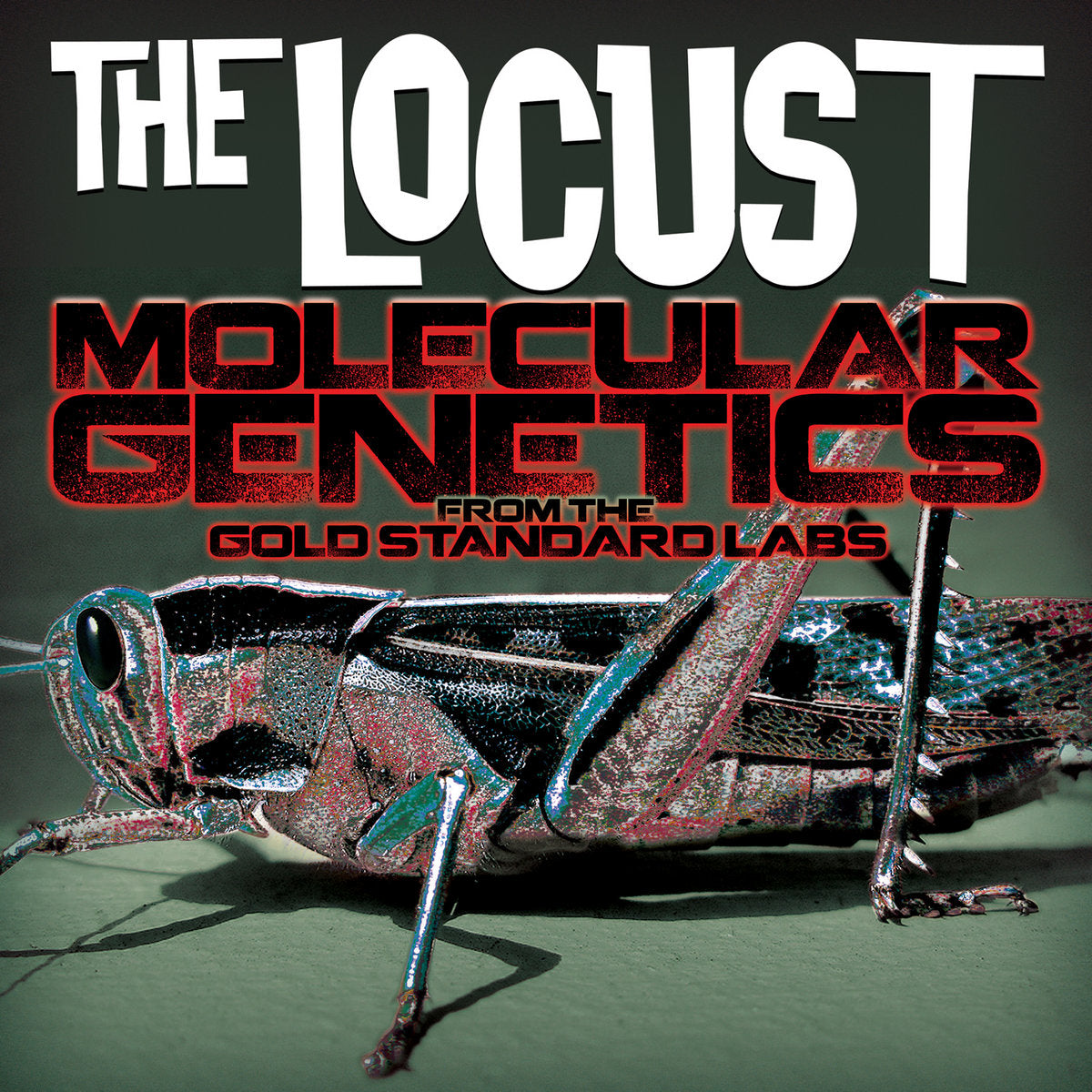 The Locust – Molecular Genetics From The Gold Standard Labs - Watermelon Smash Vinyl - LP