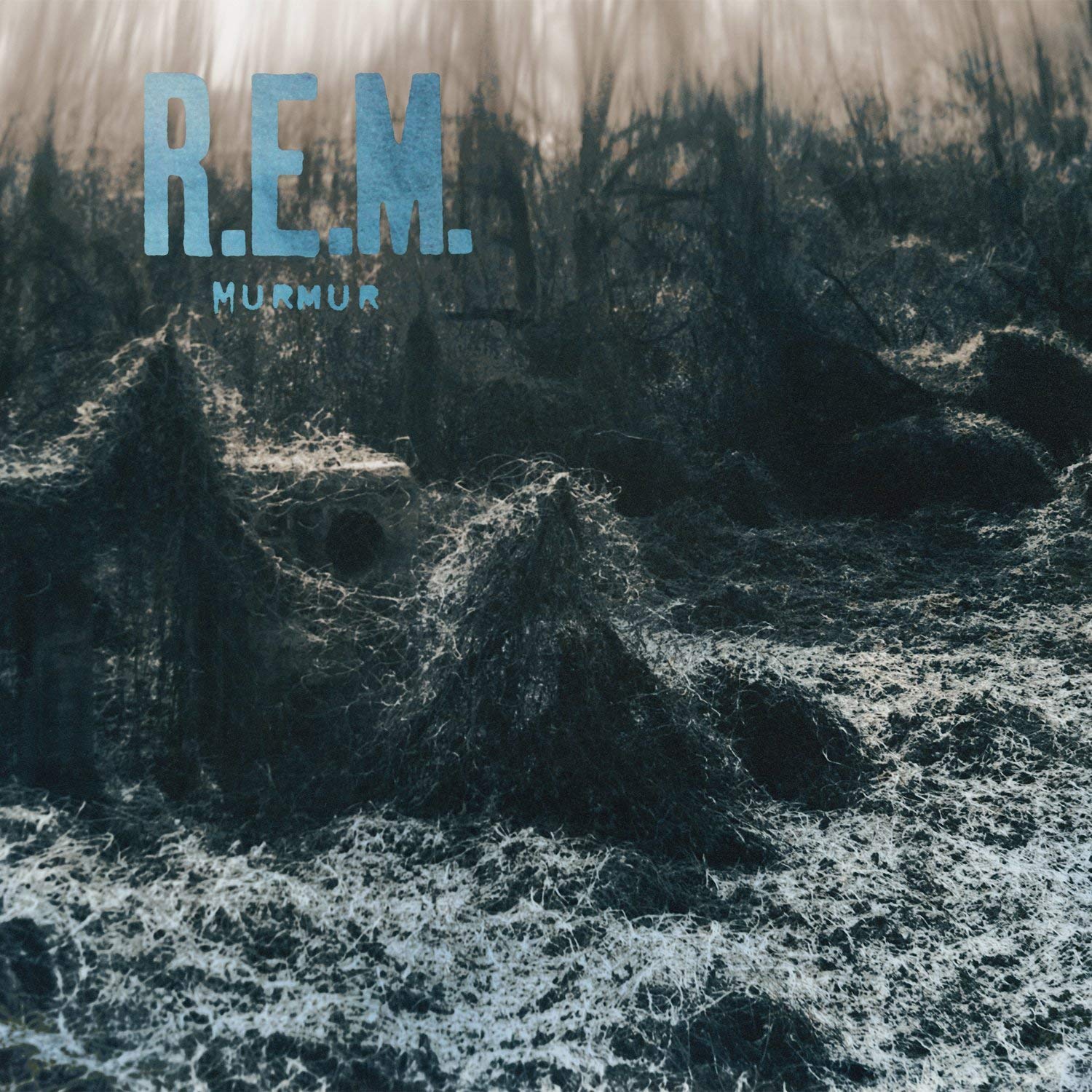 Ｒ.Ｅ.Ｍ.「Murmur」 R.E.M. ‎– Murmur - 180 Gram Vinyl - LP – Sky Valley Records