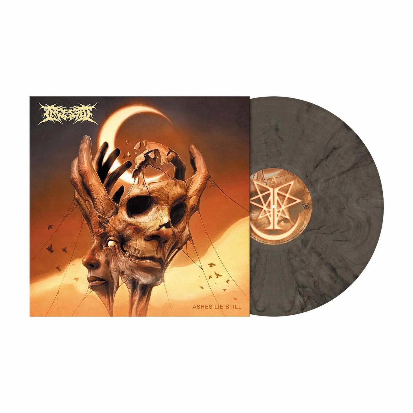 Ingested – Ashes Lie Still - Smokey Black Vinyl - LP