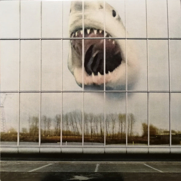 Black Mountain - Wilderness Heart - LP