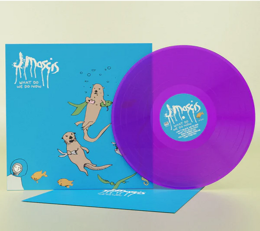 J Mascis - What Do We Do Now - Translucent Purple - LP
