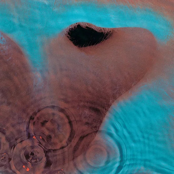Pink Floyd - Meddle - CD (Digipak)