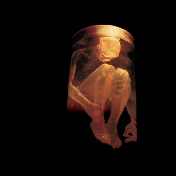 Alice In Chains -  Nothing Safe: Best of  - CD
