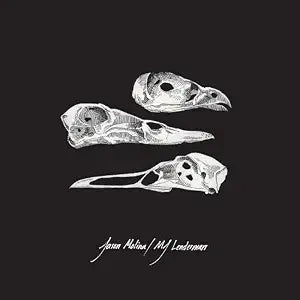 Jason Molina & MJ Lenderman - The Last Three Human Words (Demo) / Just Be Simple - 7"