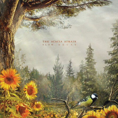 The Acacia  - Strain Slow Decay - CD