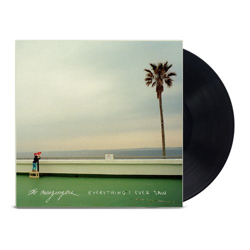 The Menzingers - Everything I Ever Saw  - LP