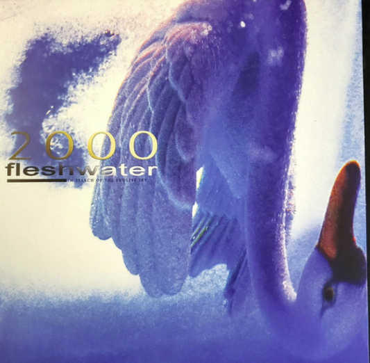 Fleshwater – 2000: In Search Of The Endless Sky (METALLIC BLUE) - LP