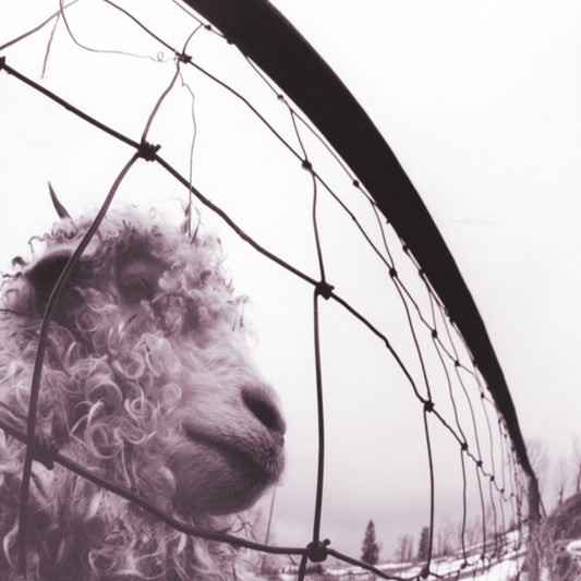 Pearl Jam – Vs. - 2LP