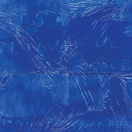 Water From Your Eyes ‎– It's A Beautiful Place - LP