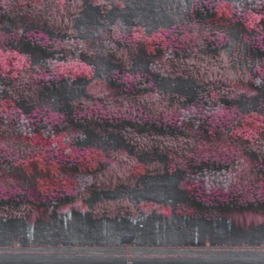 Sleep Token – Even In Arcadia - LP