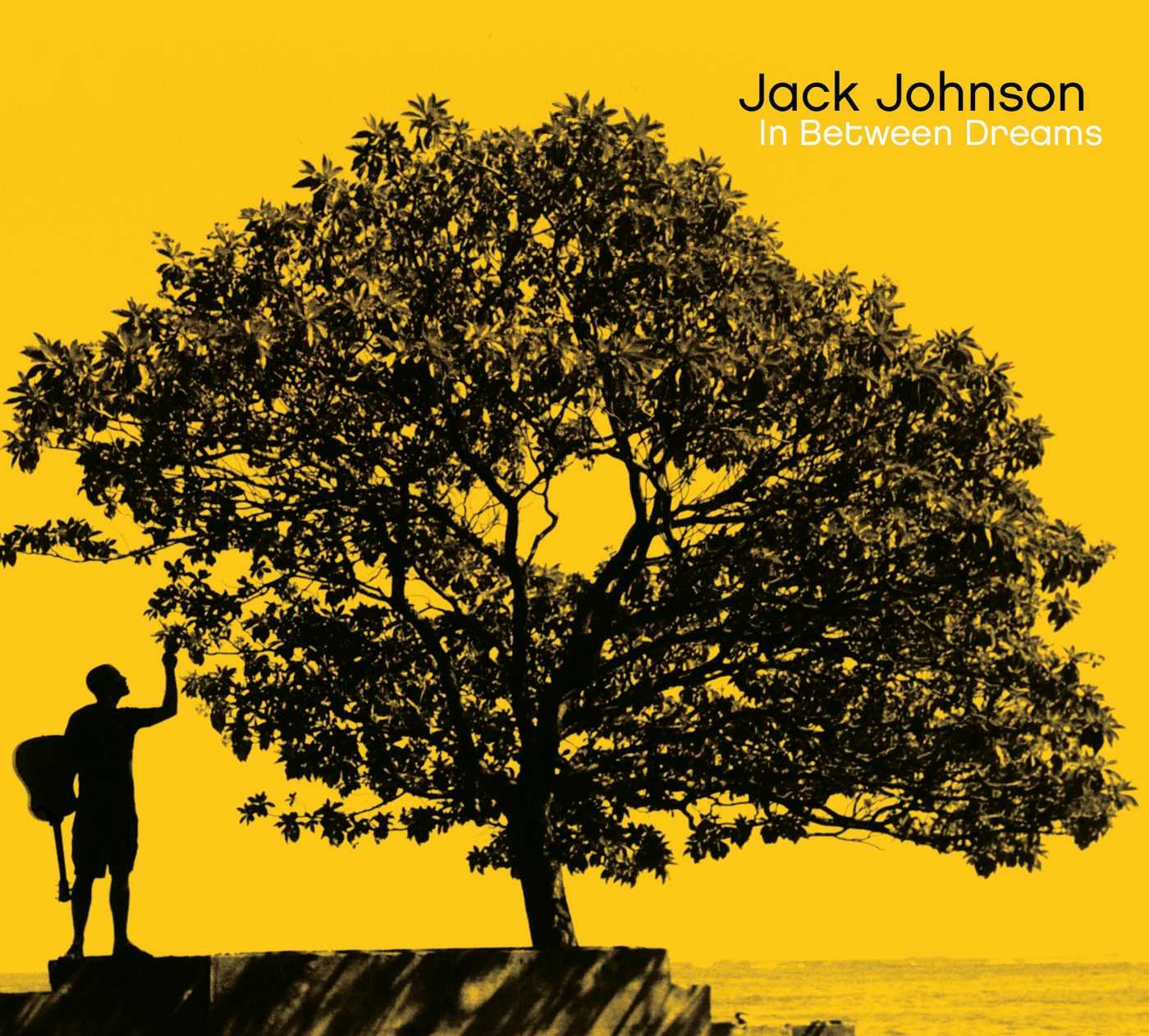 Jack Johnson – In Between Dreams - LP