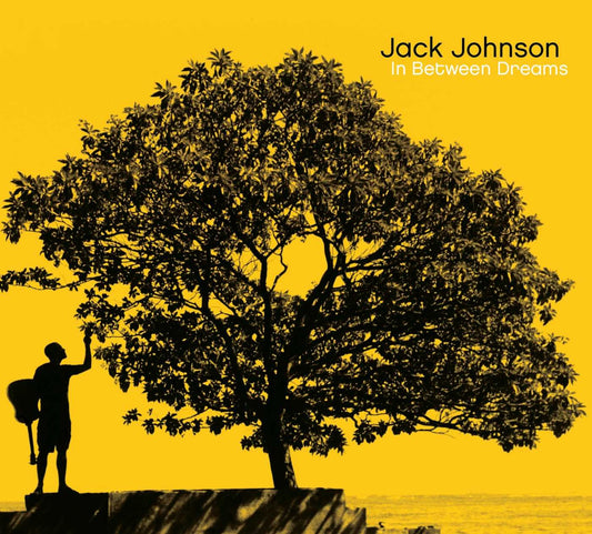 Jack Johnson – In Between Dreams - LP