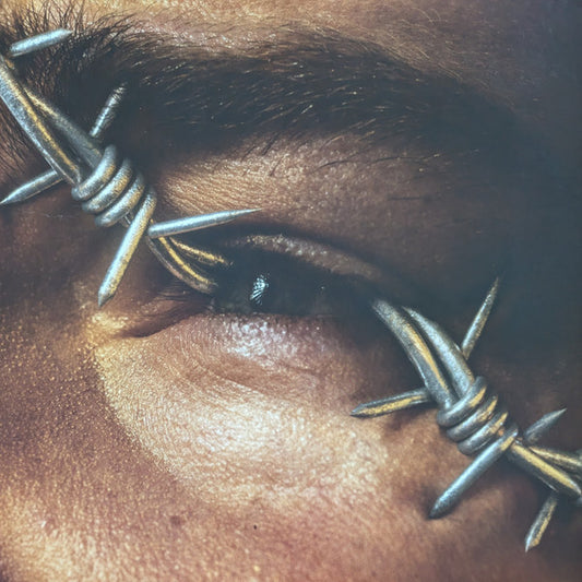 Post Malone – Beerbongs & Bentleys - 2LP