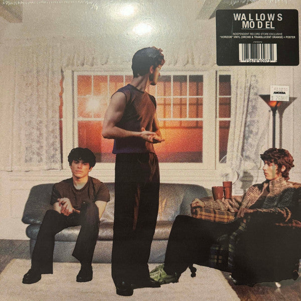 Wallows – Model - LP