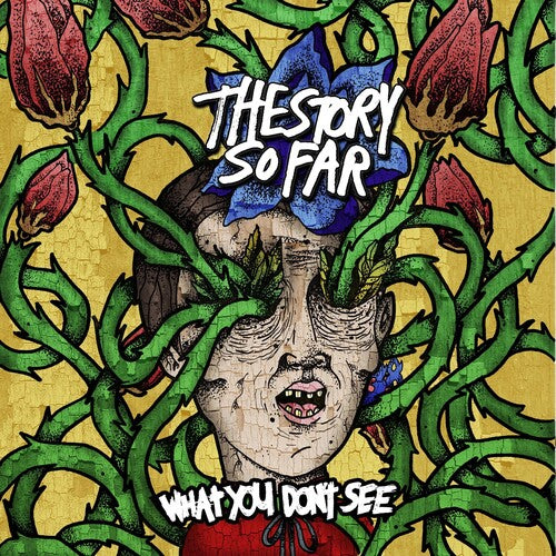 Story So Far – What You Don't See - Limited Color vinyl - LP