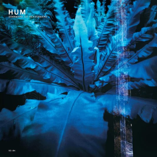 Hum  – Downward Is Heavenward - CD