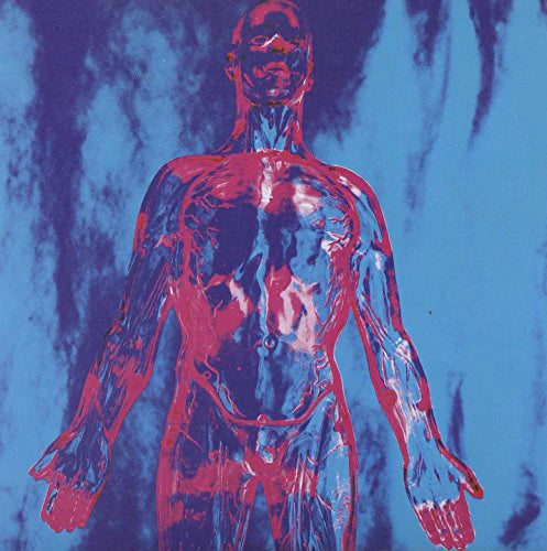 Nirvana – Sliver b/w Dive - 7"