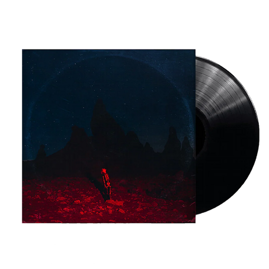 Phoebe Bridgers – Punisher - LP