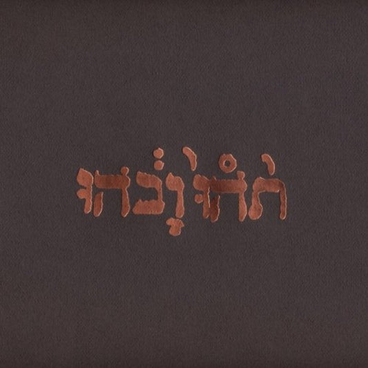 Godspeed You! Black Emperor - Slow Riot For New Zero Kanada - 180 Gram Vinyl - LP