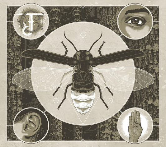 Jerry Cantrell – Brighten - (Limited Glow in Dark Cover) - CD  (Digipak)