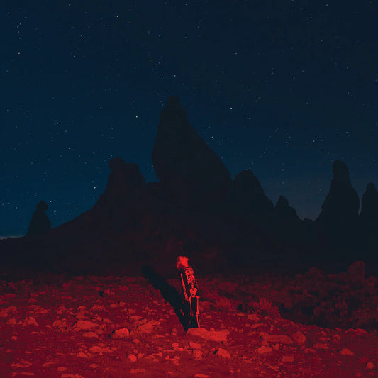 Phoebe Bridgers – Punisher - LP
