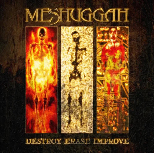 Meshuggah ‎– Destroy Erase Improve - Sunflare Vinyl - 2XLP    RSD 2026