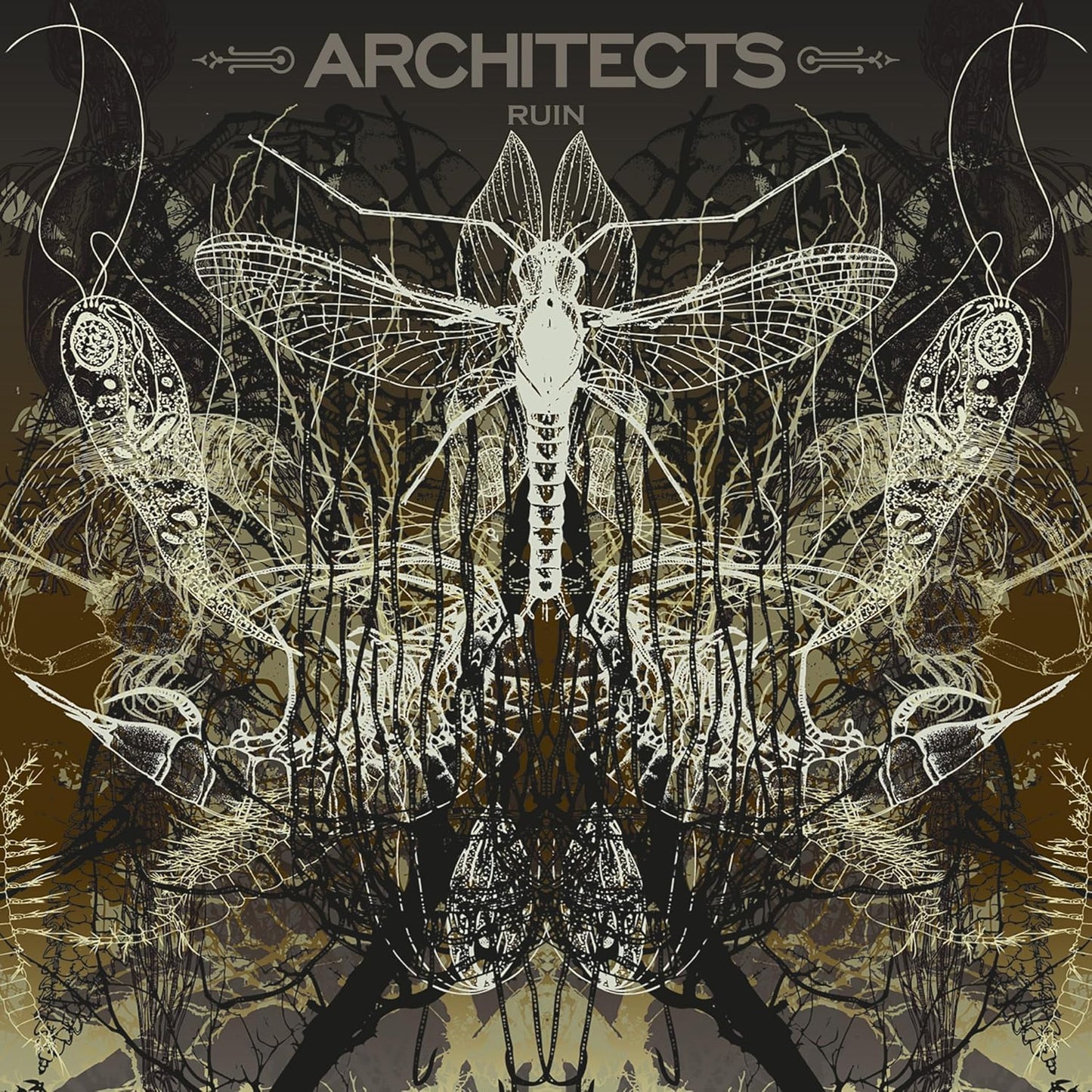 Architects – Ruin - Picture Disc - LP