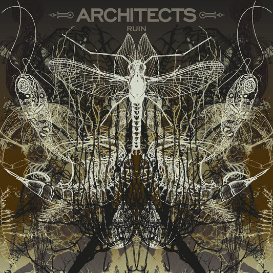 Architects – Ruin - Picture Disc - LP