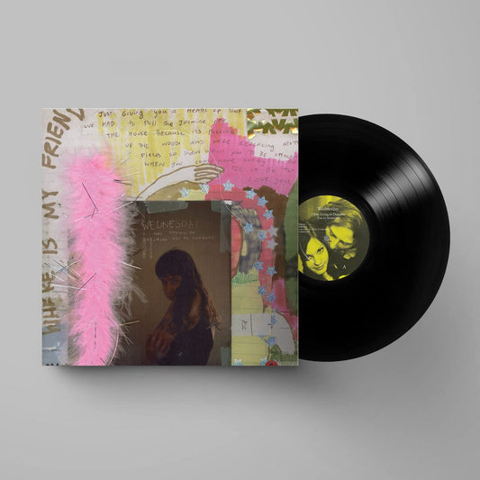 Wednesday  – I Was Trying To Describe You To Someone - LP