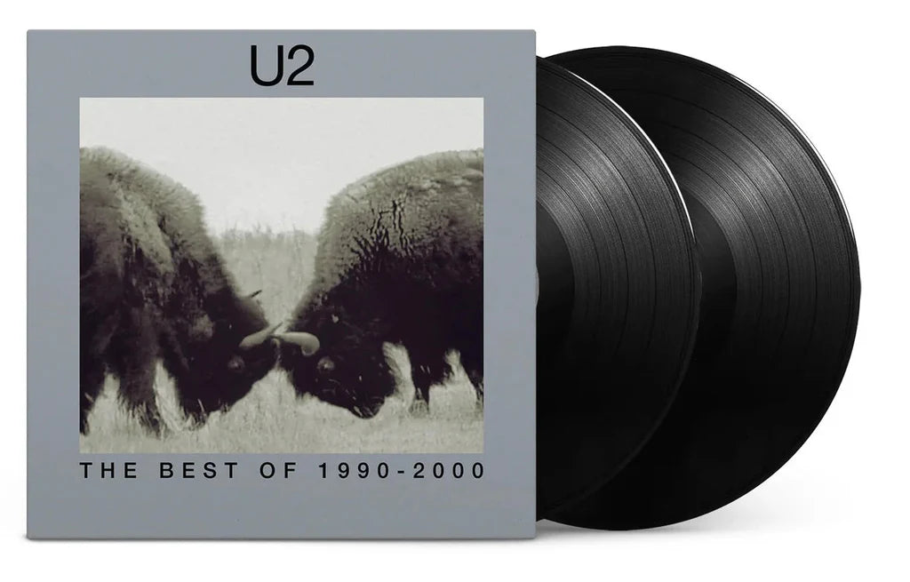 U2 – The Best Of 1990-2000 - 180 Gram Vinyl - 2XLP