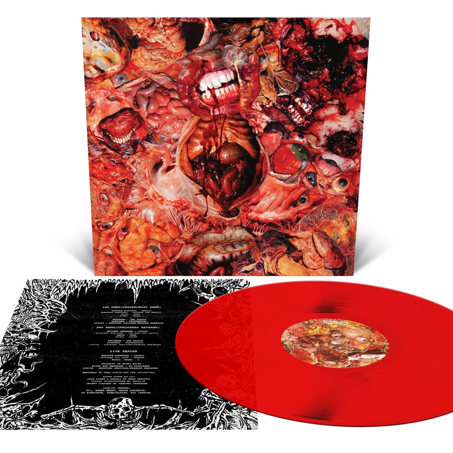 FesterDecay - From Demo To Rot - Blood Red Vinyl -  LP