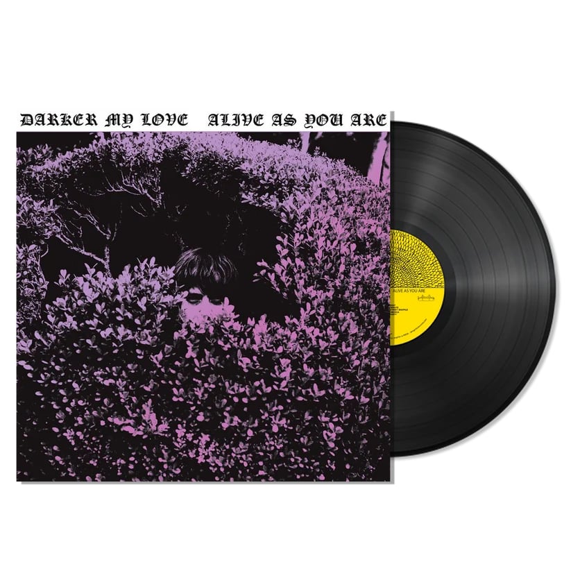 Darker My Love - Alive As You Are - LP