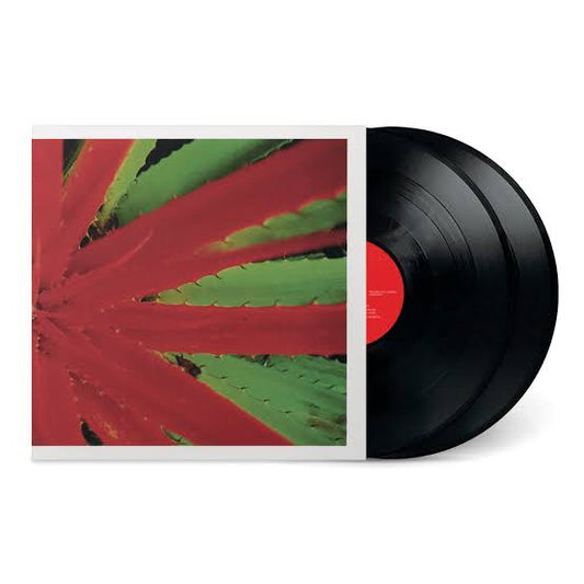 Jejune - This Afternoons Malady  - 2XLP