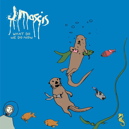 J Mascis -  What Do We Do Now - CD