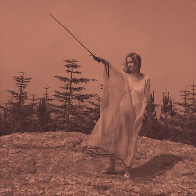 Unknown Mortal Orchestra ‎– II - LP