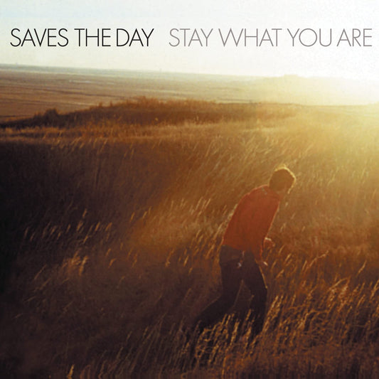 Saves the Day  - Stay What You Are - Color Vinyl - 2X10"